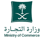 General Deputy Minister for Customer & Branches Services
